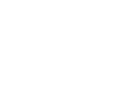 lusi logo-28